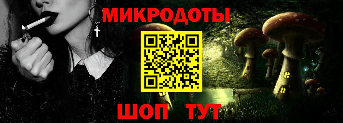 Гагарин  закладки  Вход с VPN  Галлюциногенные грибы Psilocybine cubensis 
